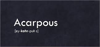 acarpous是什么意思
