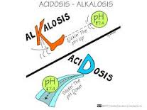 acidosis是什么意思
