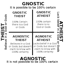 agnostic是什么意思