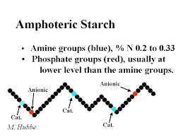 amphoteric是什么意思