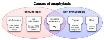 anaphylaxis是什么意思