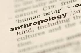 anthropology是什么意思