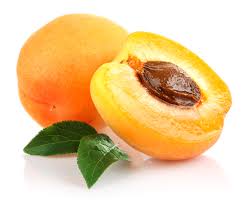 apricot是什么意思