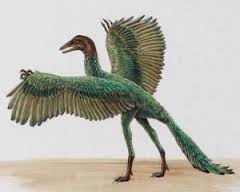 archaeopteryx是什么意思