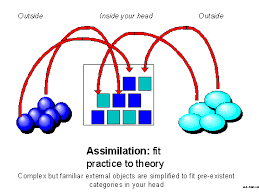 assimilate是什么意思