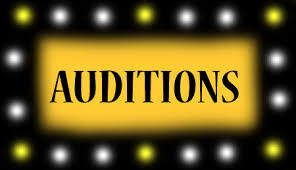 audition是什么意思