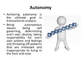 autonomy是什么意思