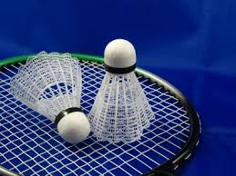 badminton是什么意思