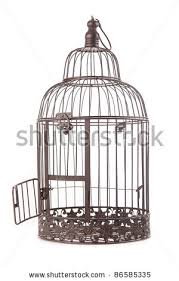 birdcage是什么意思