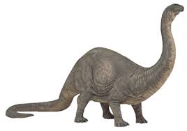 brontosaurus是什么意思