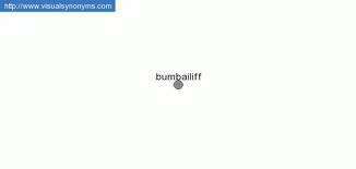 bumbailiff是什么意思