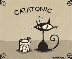 catatonic是什么意思