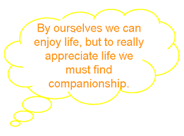 companionship是什么意思