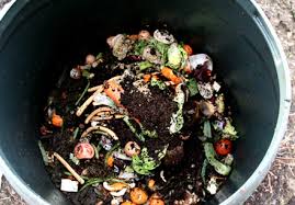 compost是什么意思