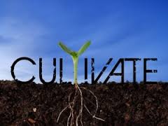 cultivate是什么意思