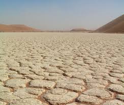 desertification是什么意思