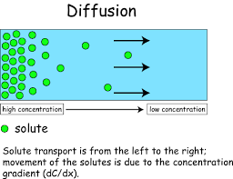 diffusion是什么意思