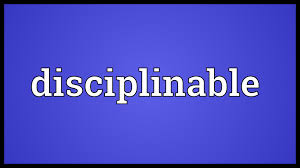 disciplinable是什么意思