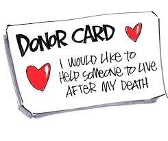 donor是什么意思