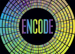 encode是什么意思