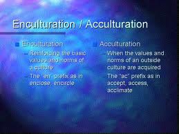 enculturation是什么意思