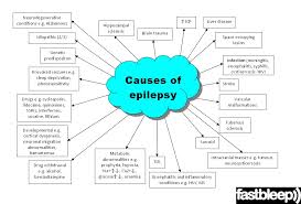 epilepsy是什么意思