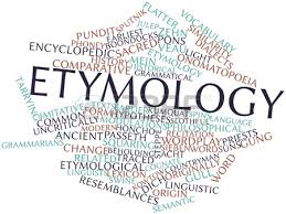 etymology是什么意思