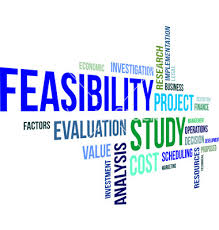feasibility是什么意思
