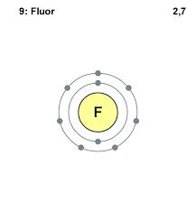 fluor是什么意思