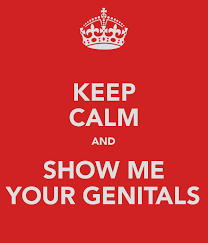 genitals是什么意思