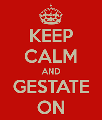 gestate是什么意思
