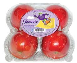 grapple是什么意思