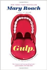 gulp是什么意思