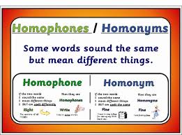 homonym是什么意思
