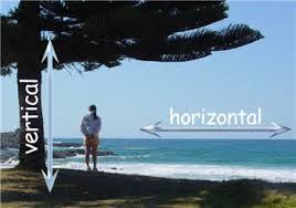horizontal是什么意思