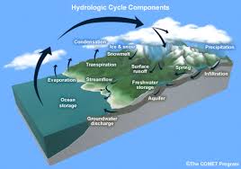 hydrology是什么意思
