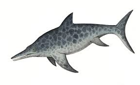 ichthyosaur是什么意思