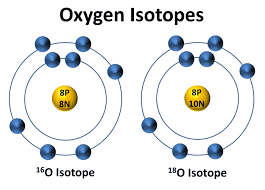 isotope是什么意思