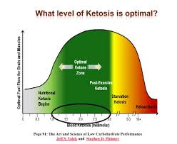 ketosis是什么意思
