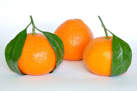 mandarin是什么意思