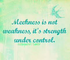 meekness是什么意思