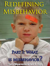 misbehavior是什么意思