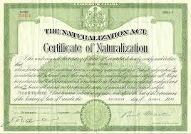 naturalization是什么意思