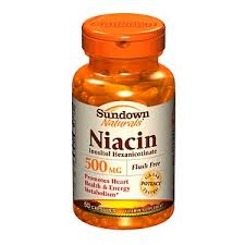 niacin是什么意思