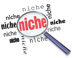 niche是什么意思
