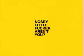 nosey是什么意思
