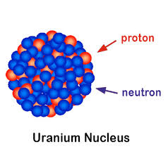 nuclei是什么意思