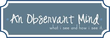 observant是什么意思