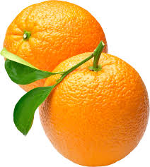 orange是什么意思