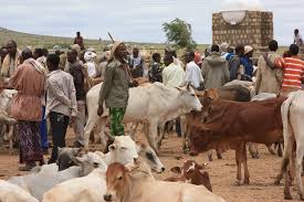 pastoralist是什么意思